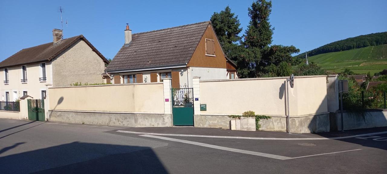 Gite Du Bel Air Festigny  Esterno foto